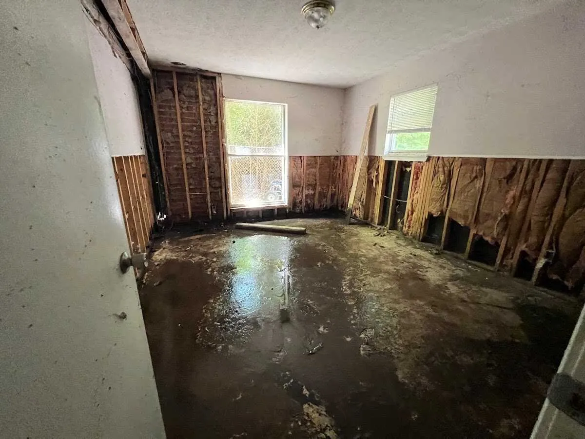 Basement Flood Cleanup in Sappington, MO